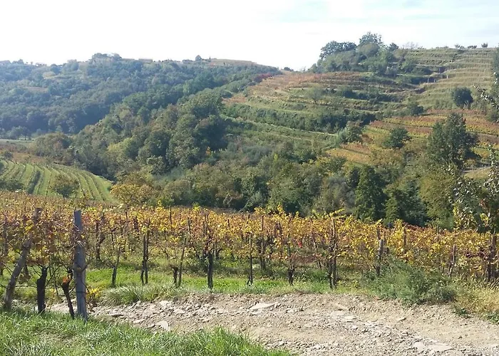 Farmstay Kmetija Stekar