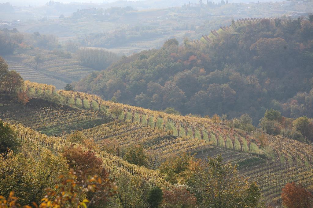 Farm stay Kmetija Stekar *
